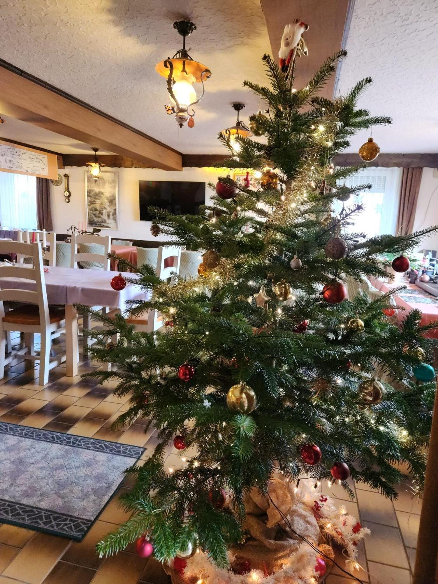Hattgenstein Gasthaus Hochwald מראה חיצוני תמונה